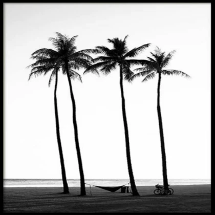 [MINIMALIST] palm trees no2