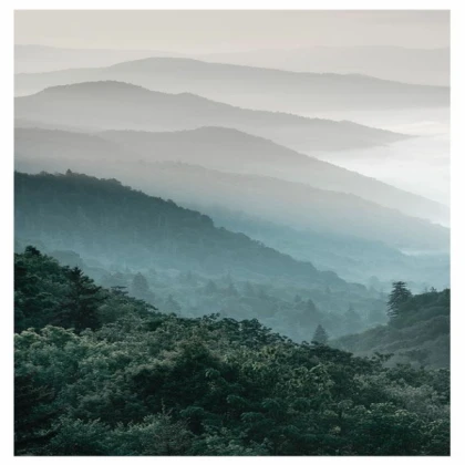 [MINIMALIST] forest mountain