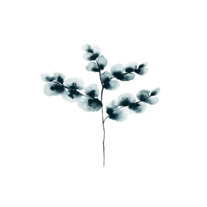 [MINIMALIST] cotton plant