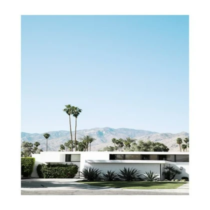 [MINIMALIST] palm springs