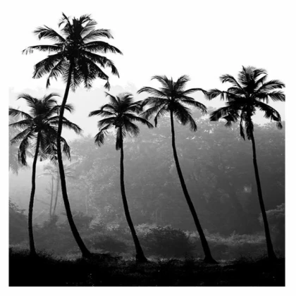 [MINIMALIST] palm trees