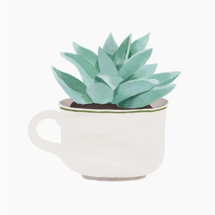 plant in a cup