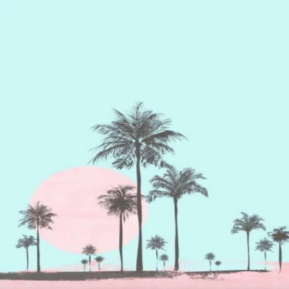 [IKO] palm tree