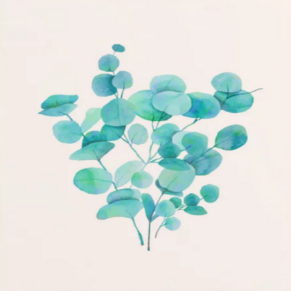 Eucalyptus watercolor