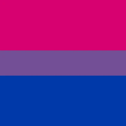 Bi Flag Roblox Decal