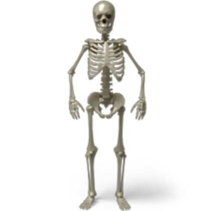 Spooky Scary Skeleton