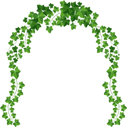 transparent ivy vine arch