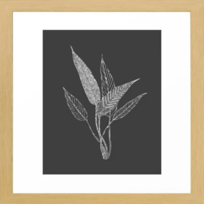 Brown Framed Black Plant