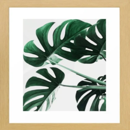 brown framed tropical leaves