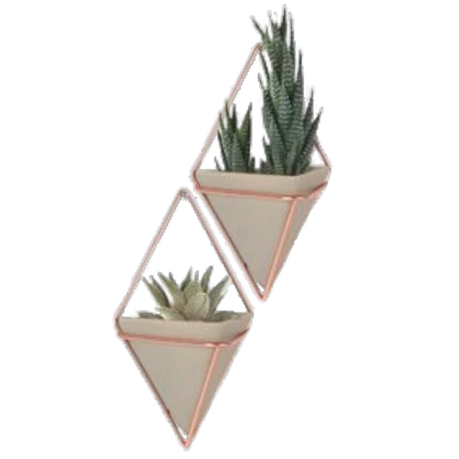 [IKO] wall plant tri