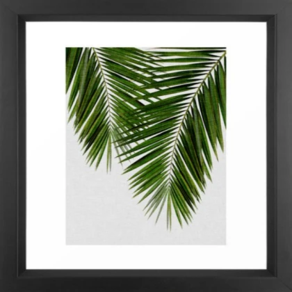 black framed palm leaves