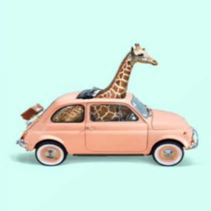 tiny car with giraffe