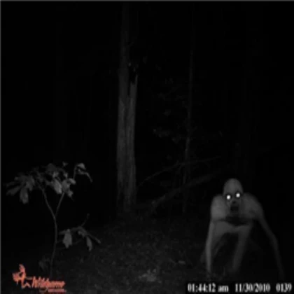What a deer hunter cam picked up....... scary
