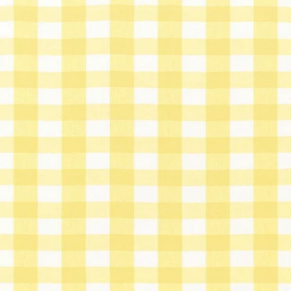 [SUMMER] Yellow plaid