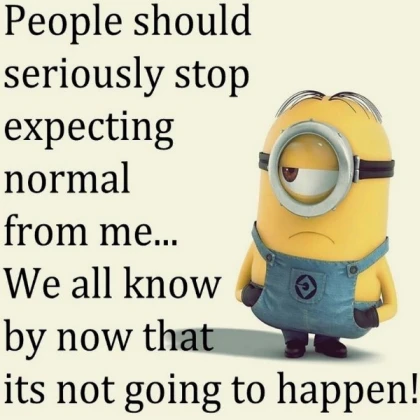 minion quote 2