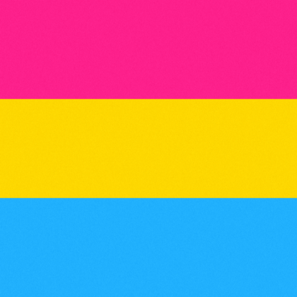 Pride Flag Pansexual Roblox Decal
