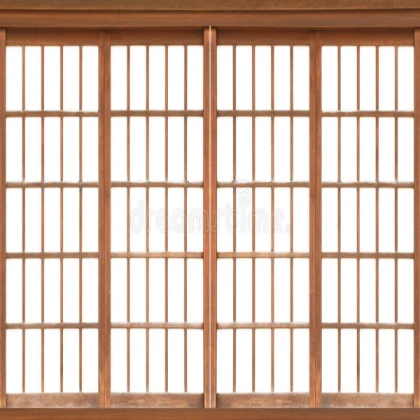 Japanese Door