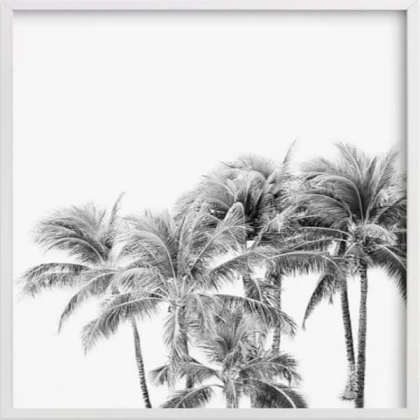 black and white palm trees