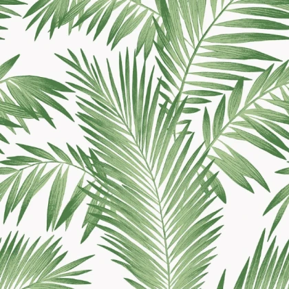 Tropical Palm wallpaper