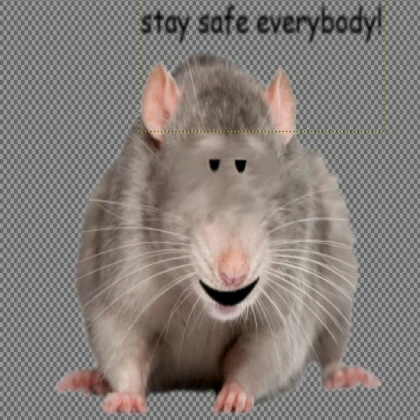 Stay safe!