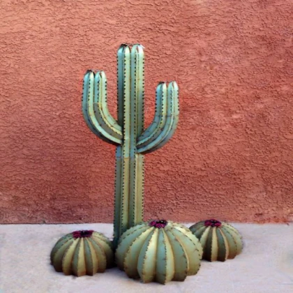 cactus and succulent