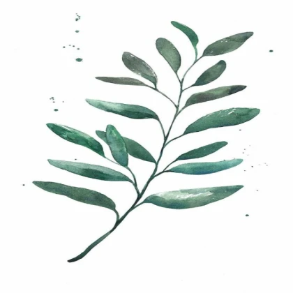 watercolor leaf