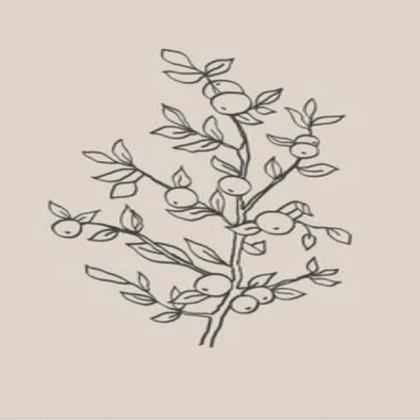 [BEIGE MINIMALIST] tree branch