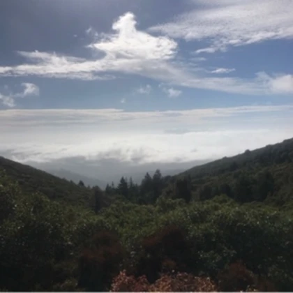 Cloudy Mountain View