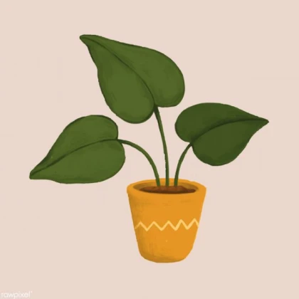 [IKO] house plant