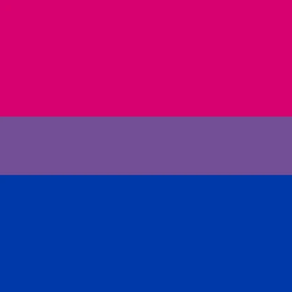 Bi Flag Roblox Decal