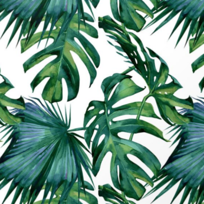 palm leaves