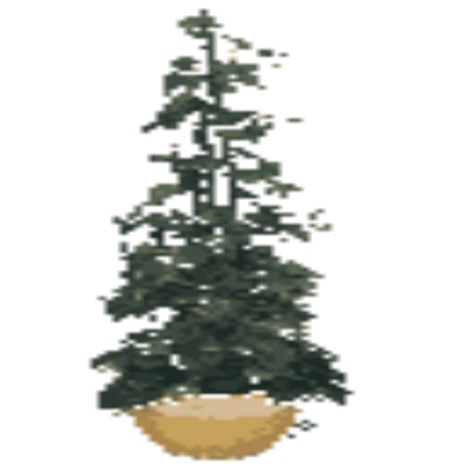 Baldi's Basics - Plant