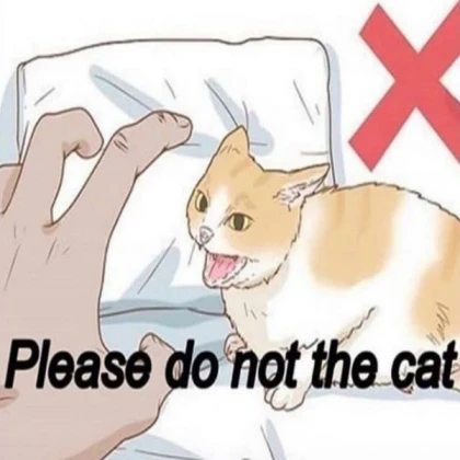 please do not the cat