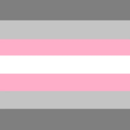 Demigirl Flag Roblox Decal