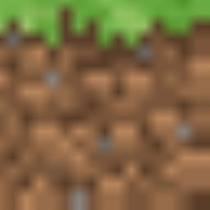 Minecraft 1.16.1 Grass Block