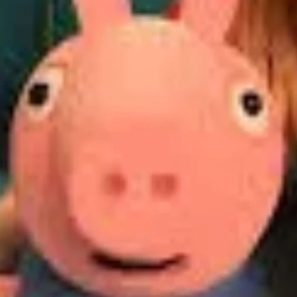 pig