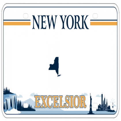 New York 2020 License Plate