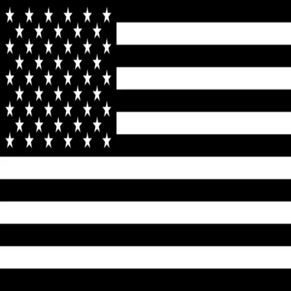 Thin White Line American Flag