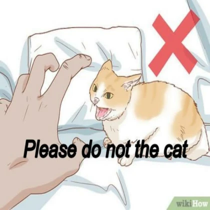 Please do not the cat