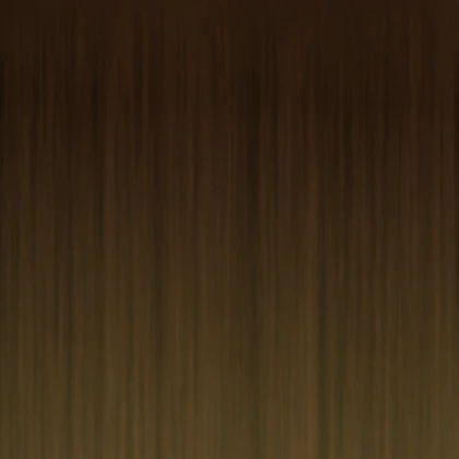 Brown to Blonde hair texture