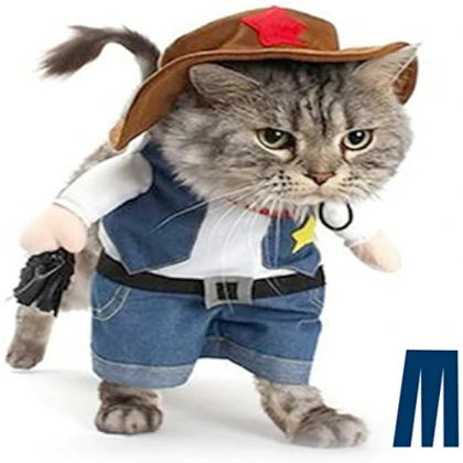 COWBOY CAT