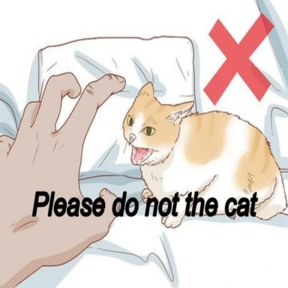 Please do not the cat