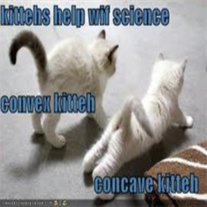 Kittehs Help Wif Science
