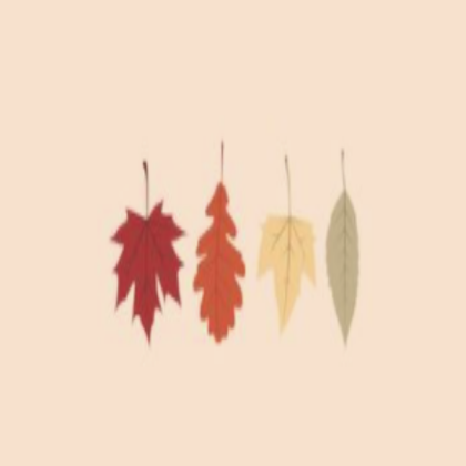 autumn leaves