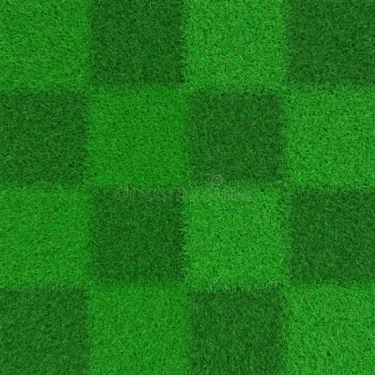 Grass
