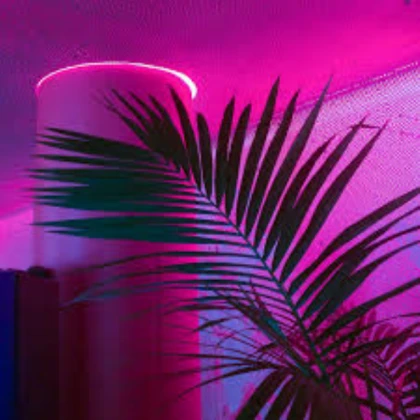 Pink Neon leaves Aesthetic Liminal Space Dreamy