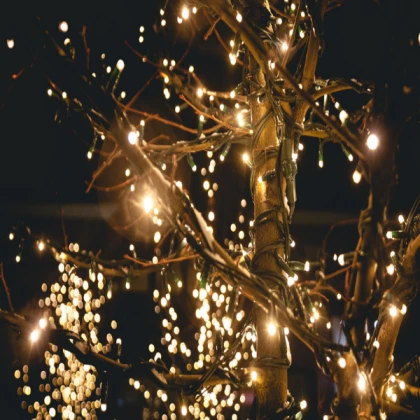 Lights on Trees {AESTHETIC CHRISTMAS}