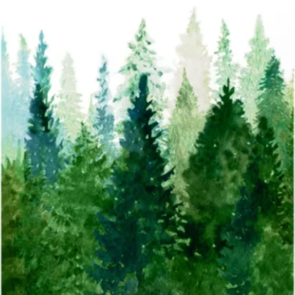 Pine Trees