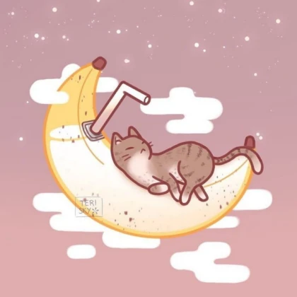 banana moon cat