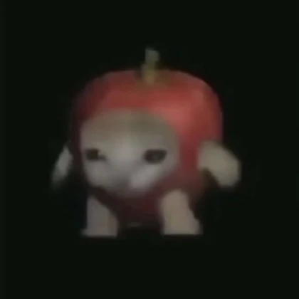 silly ahh cat in an apple suit